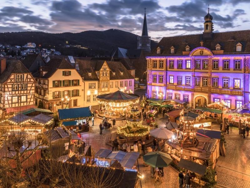 Pfaelzer Herzel Neustadt an der Weinstraße Zewnętrze zdjęcie